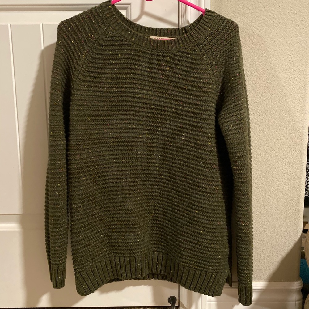 Faded Glory Green Sweater